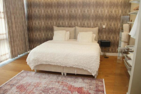 Lovely One Bedroom Appartment-530